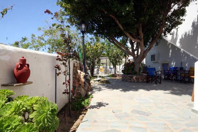 Deep Blue Studios Logaras Luaran gambar